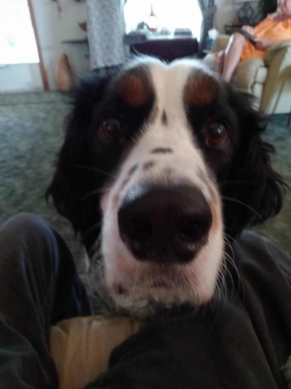 I WANT A COOKIE!  Sorry Man, There Will Be No Cookies…  A random thought&nbsp;post.