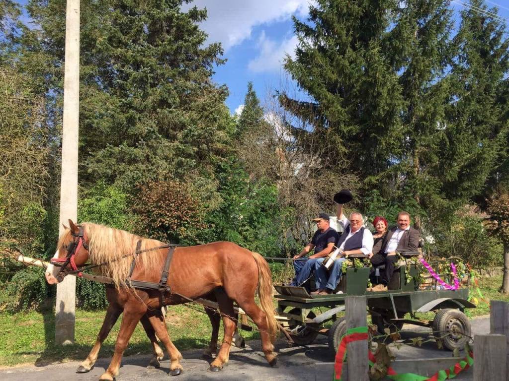 The Sweetness of Everyday Moments: Finding Joy in the Little&nbsp;Things